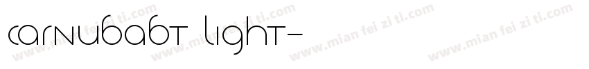 CarnubaBT Light字体转换